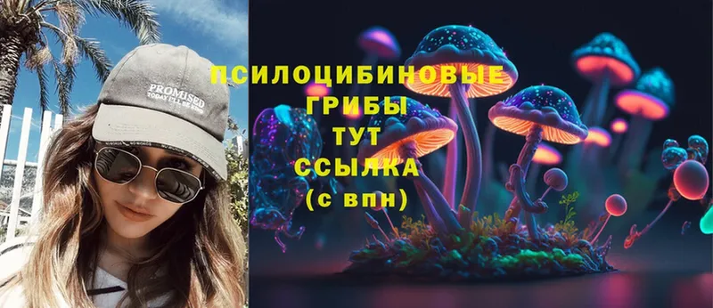 площадка официальный сайт  Железногорск  Псилоцибиновые грибы MAGIC MUSHROOMS 